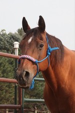 Red White and Blue rope Halter for Full Size Horse