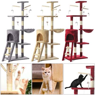 kitten climbing tower