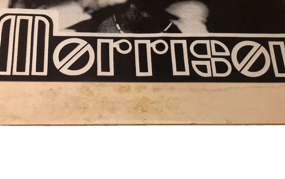 Póster The Doors Jim Morrison Vintage Años 90 Serigrafía Mano Poeta Rock Negro Mate Foto 3 de 4