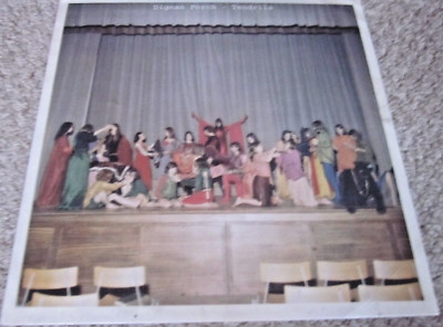 DIGNAN PORCH - Tendrils LP 2010 USA CAPTURED TRACKS C86 INDIEPOP LO-FI  EX- WAX