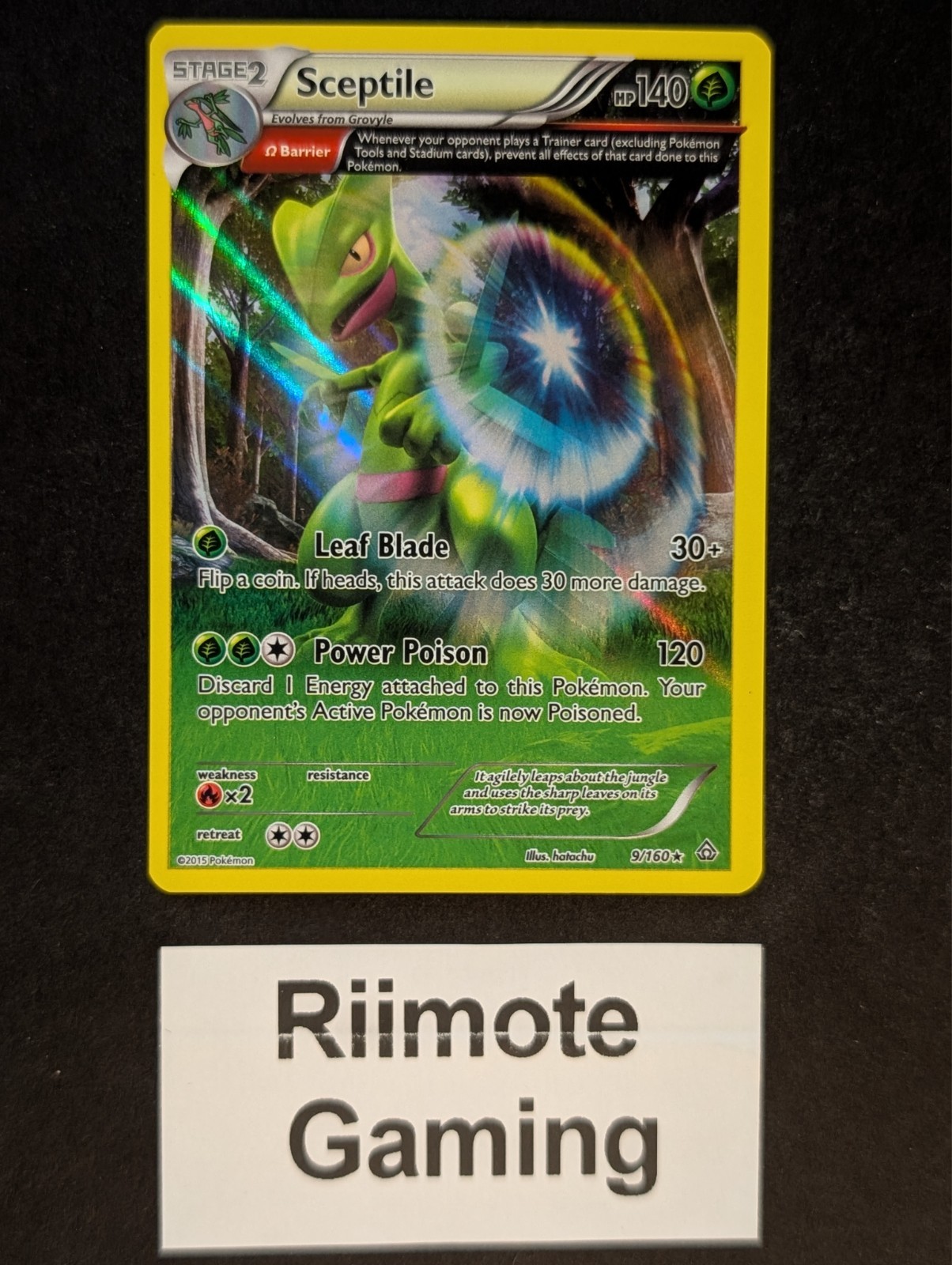 Sceptile (Omega) 9 Primal Clash Holo Rare Holofoil Near Mint