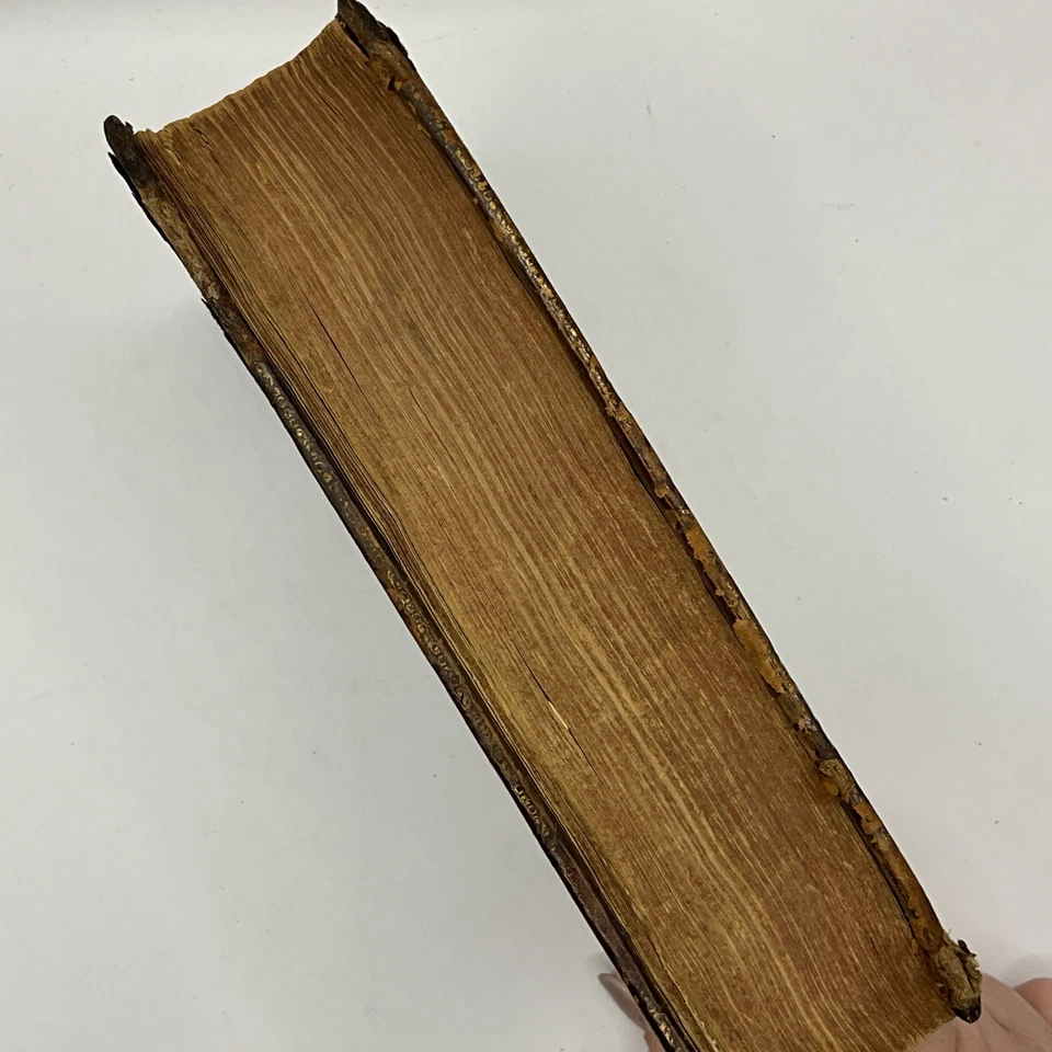 PUBLII OVIDII NASONIS LIBRI XV. METAMORPHOSEON OF OVID 1713 - Image 4 of 4