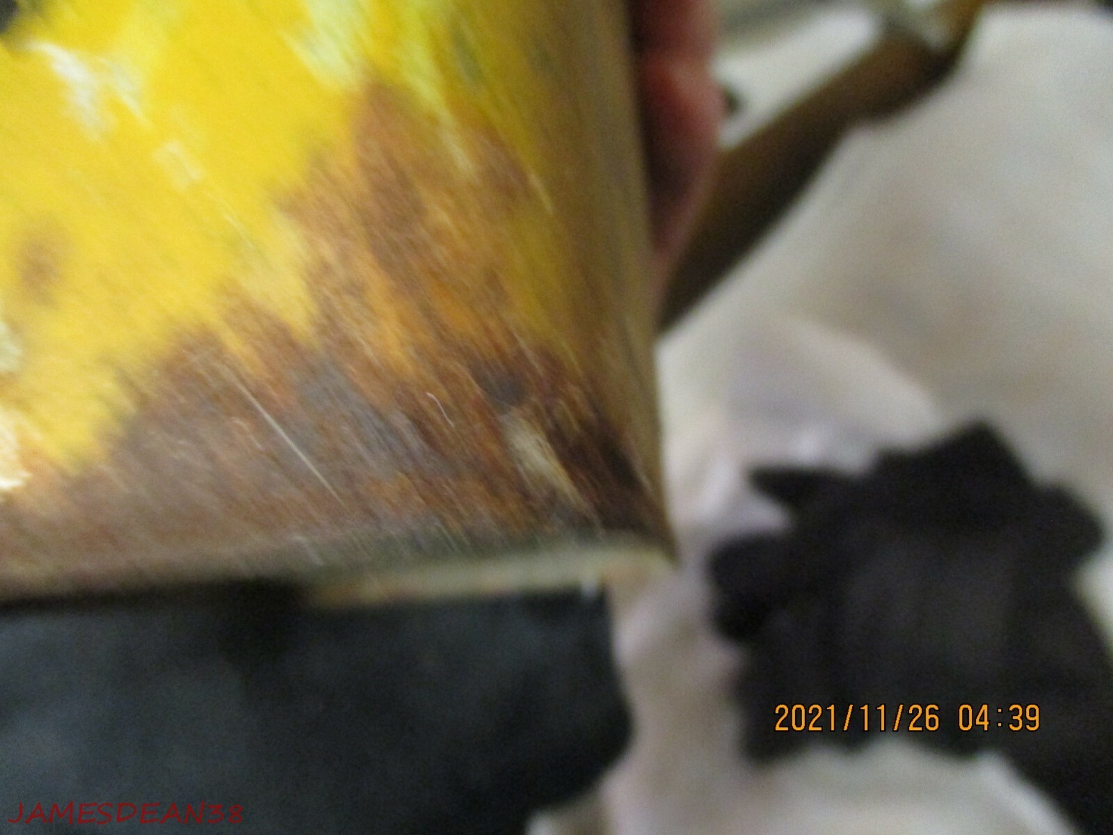 Picture 6 of 8