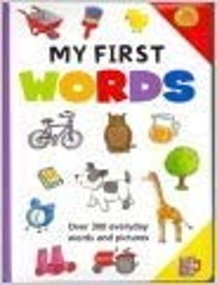My First Words Over 300 Everyday Words and Pictures