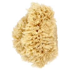 Premium Quality Wool Sea Sponge, 1 Sponge