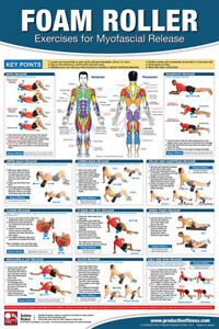 Physiotherapy Anatomy Charts