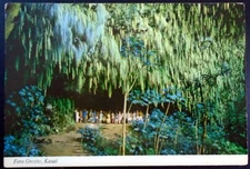 Fern Grotto Tourist Attraction, Kauai County, Wailua River State Park, Hawaii