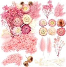 Nat&uuml;rliche Getrocknete Blumen Set f&uuml;r DIY Kunst Basteln - Rosa Wei&szlig;e