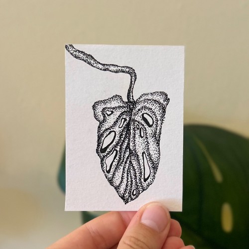 ACEO Original Leaf Plant Ink Design Stippling Art, 2.5" x 3.5" artsbyanja