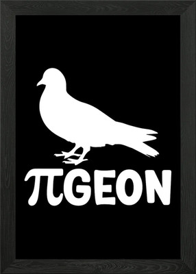 Pigeon Pun: Pi-geon Pi Day gerahmtes Wandbild Poster Leinwanddruck Bild