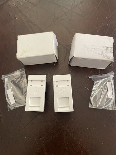 Cat 5e RJ-45 Ethernet Insert x2