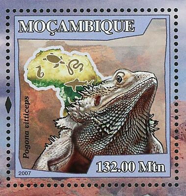 Lizards Stamp Pogona Vitticeps Reptile Souvenir Sheet MNH #2997