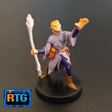 D&D Miniature and Both Cards - Elf Conjurer #16 - Dungeons and Dragons - RPG