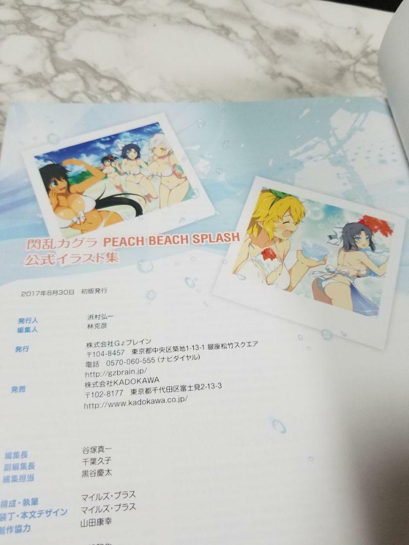 Senran Kagura Peach Beach Splash Official Illustrations Art