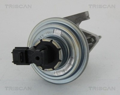 TRISCAN 8813 16045 AGR-Ventil für FORD