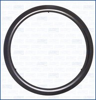 Ajusa 01363100 Dichtung, Abgasrohr FüR Alfa Romeo Passend FüR Fiat