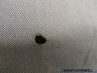 Foto 10 di 12