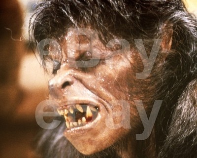 Ein Amerikanischer Werwolf In London (1981) David Naughton 10x8 Foto