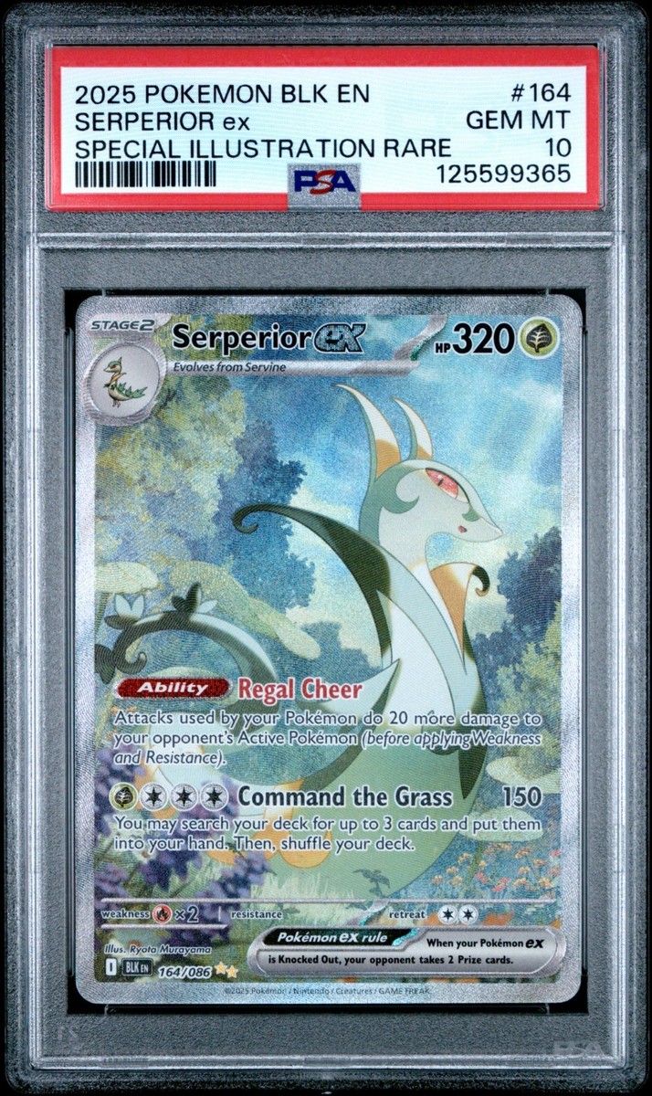 2025 Pokemon Black Bolt #164 Serperior ex SIR PSA 10 GEM MINT | eBay