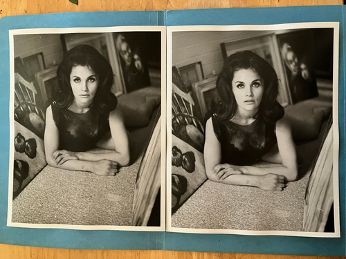 Lara Lindsay (2) original vintage sexy 8x10" press headshot photo THE SWEET RIDE