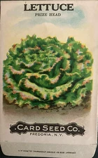 1908 Lettuce Seed Packet "Prize Head" - Card Seed Co. Fredonia, N.Y. "NOS"
