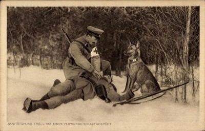 Postcard Medical Dog Troll Tracked Down a Wounded Man, Paramedic - 11090713