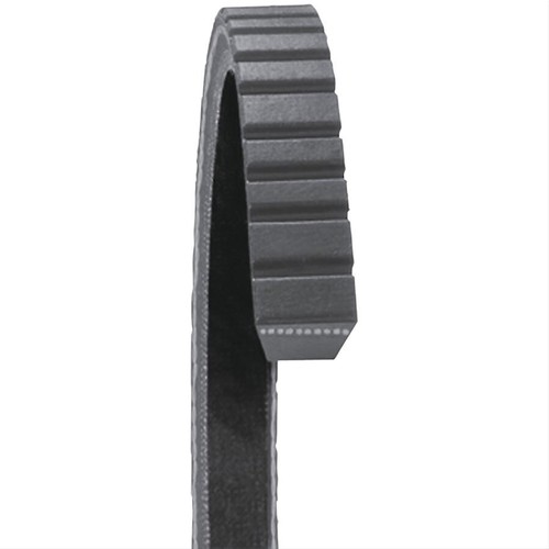 Cinturón de transmisión de accesorios Dayco 24365 - Imagen 3 de 3