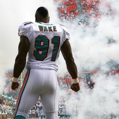 Cameron Wake 2011 Miami Dolphins authentic Reebok team issued game model jersey - Picture 3 of 3
