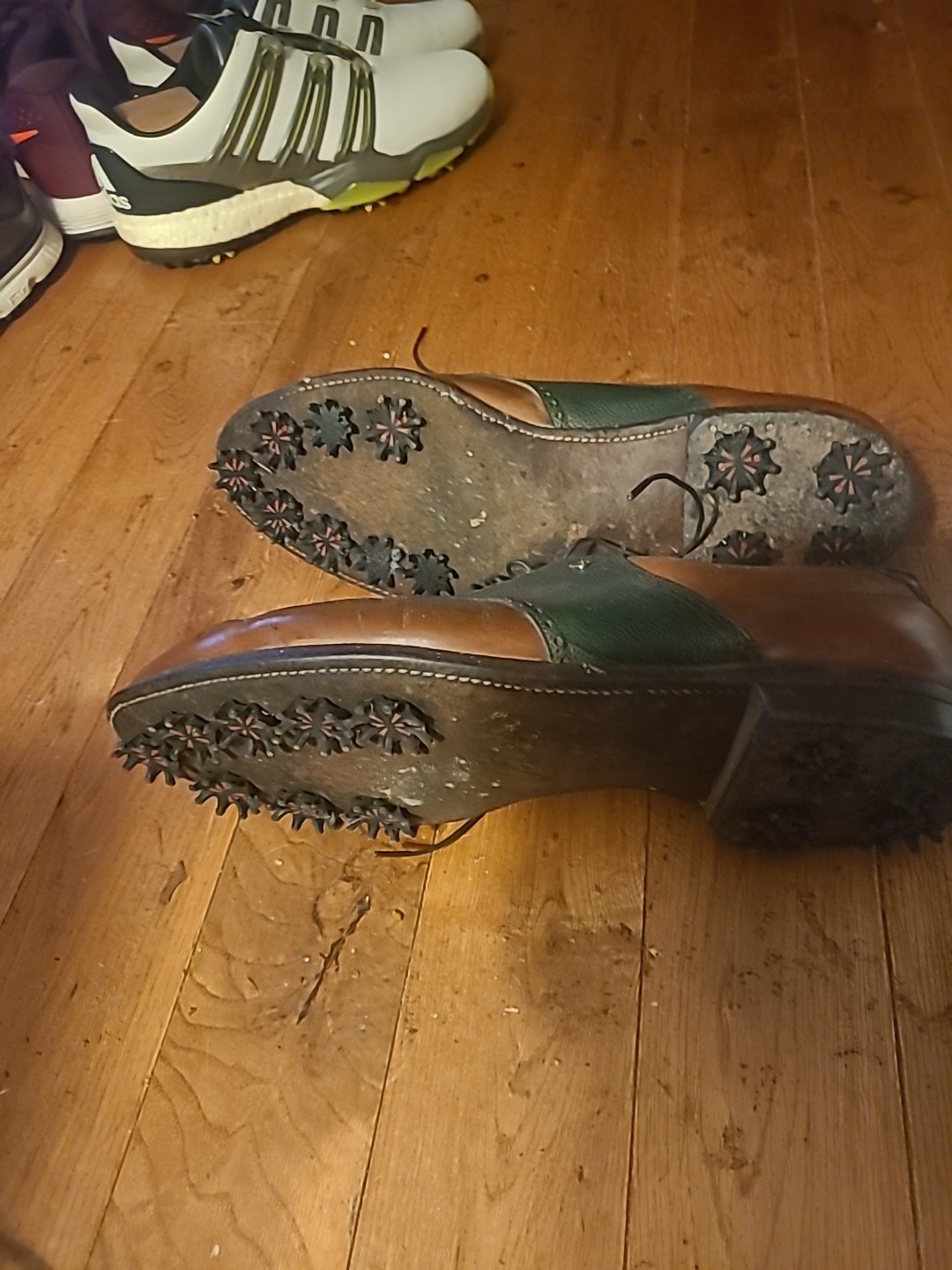 Picture 6 of 6