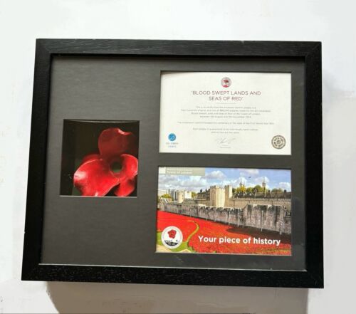  Ceramic Poppy Tower Of London 2014 Paul Cummins Framed With Certificates  - Picture 1 of 9