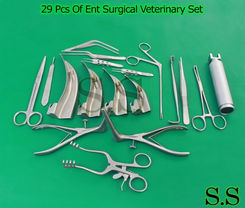 29-TEILIGES SET MIT CHIRURGISCHEN TIERÄRZTLICHEN DIAGNOSTISCHEN CHIRURGISCHEN INSTRUMENTEN DS-933 - Bild 3 von 3