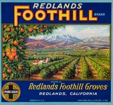 Foothill Oranges Citrus Fruit Crate Label Redlands California Grove Art Print