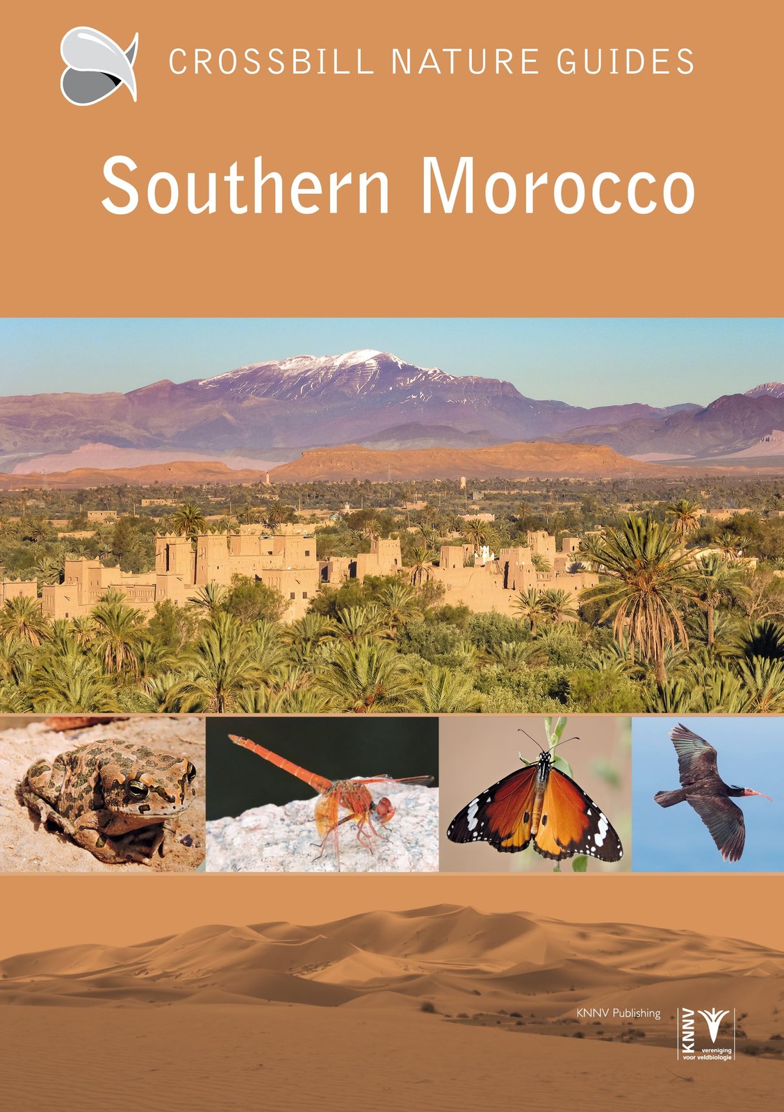 Southern Morocco:: 33 (Crossbill Guides) - Image 8