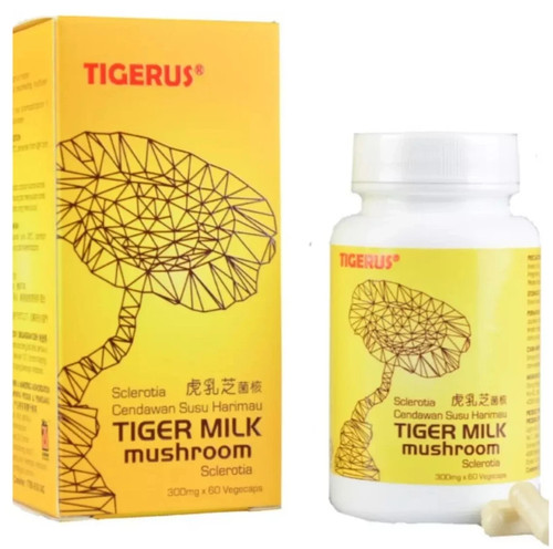 ORIGINAL TIGERUS Tiger Milk Mushroom Sclerotia 60’s NEW & HALAL Free Shipping - Bild 1 von 9