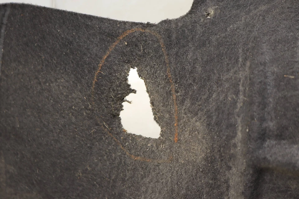 2016-2024 BMW X1 - Forro traseiro direito do para-lama/carcaça da roda 7346042 - Imagem 2 de 4