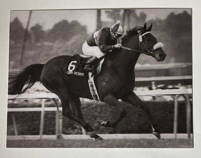 POSTCARD REPRINT JOHN HENRY RACEHORSE HORSE VINTAGE PHOTO COPY 4.25 x5.5 