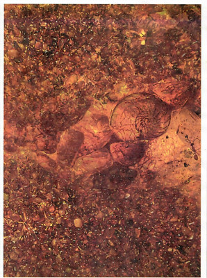 Reispapier für Decoupage Scrapbook Basteln/Hintergrund 629