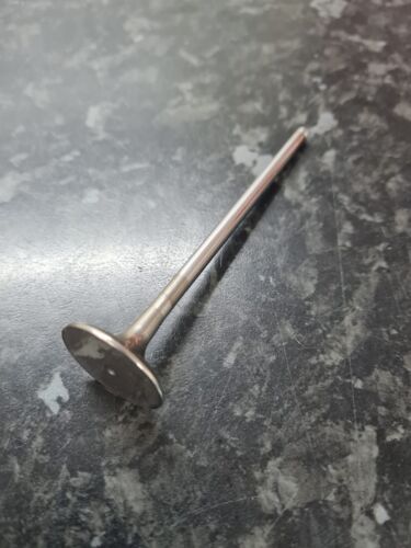 MV Agusta F4/F3 Intake Valve 8000A9702 Titanium Genuine Part - Picture 2 of 3