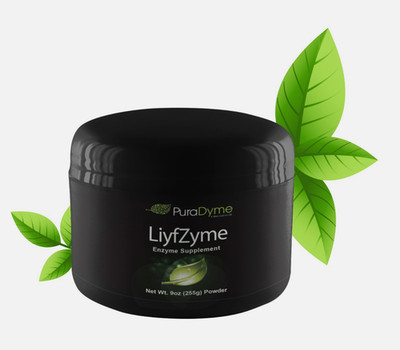 PuraDyme LiyfZyme Plant-Based Digestive Enzyme, Powder for Digestion (9 oz)