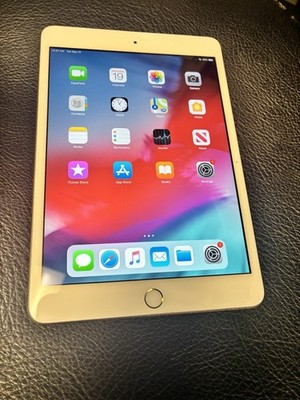 Apple iPad mini 4 With 7.9 In Display 64GB Factory Unlocked/Bundle with Charger