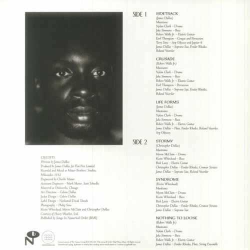 James Dallas - Life Forms (LP) (Clear) - Picture 2 of 2