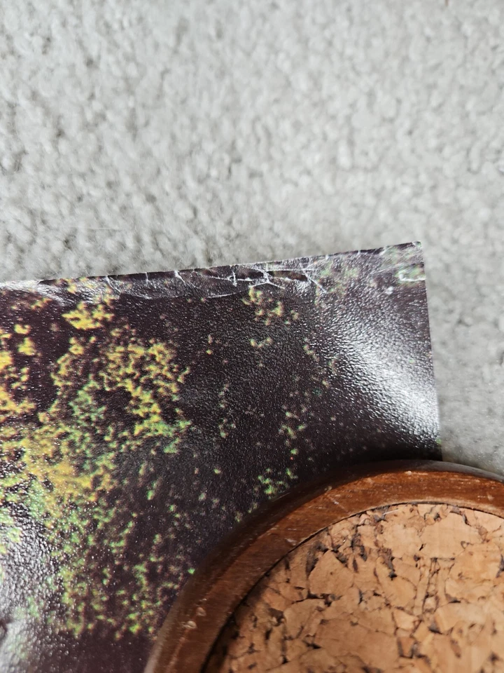 Póster de viaje vintage de los años 70 de PAN AM AIRWAYS AIRWAYS ALEMANIA 28x42 Foto 2 de 4