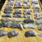 Lot of 44 Oyster Shells 3 3/4 To 6 Inch Long For Craft  Decoupage decoration — photo 2
