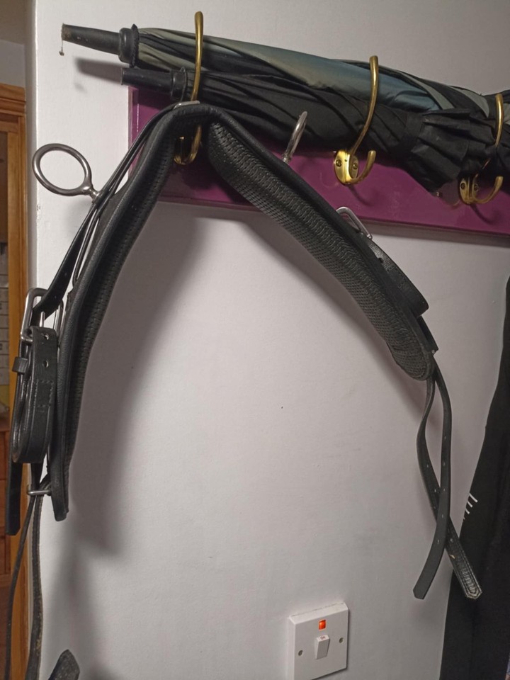 Ideal Eurotech Synthetic Driving Harness Looking for a smart