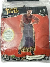 Hocus Pocus Girls Mary Sanderson Costume Size Large 12-14 Witchy Theatrical