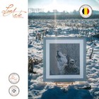 Bild 5 von 7