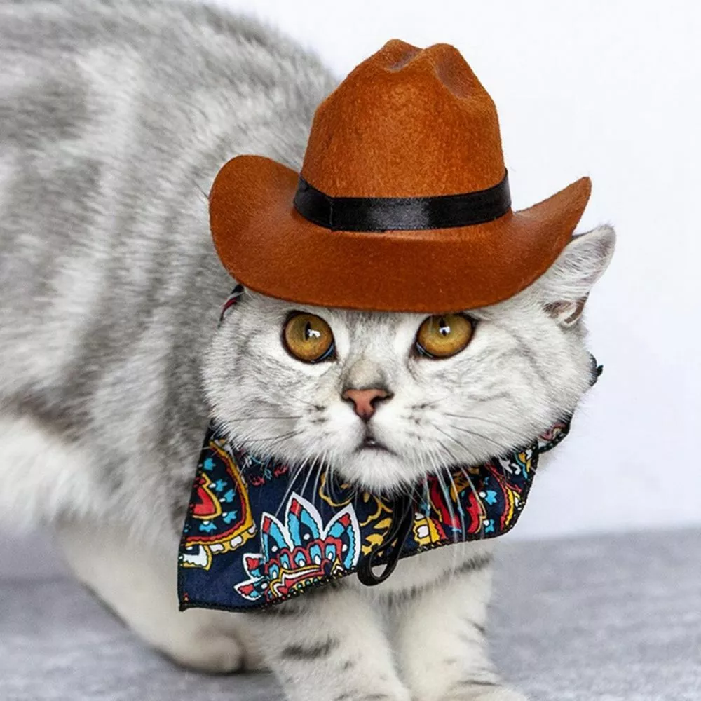 Cowboy Cat Costumes Christmas Pet Supplies Dog Hat Dog Costume Cat Cowboy Hat