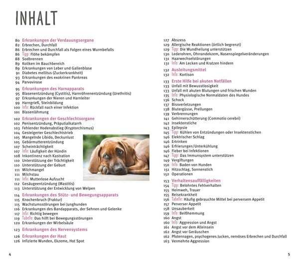 Thumbnail - Homöopathie Für Hunde