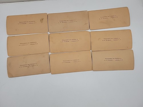 Chief Stereoscope & 15 View Cards B.W. Kilburn 1885-1898 Views Around The World - Picture 13 of 18