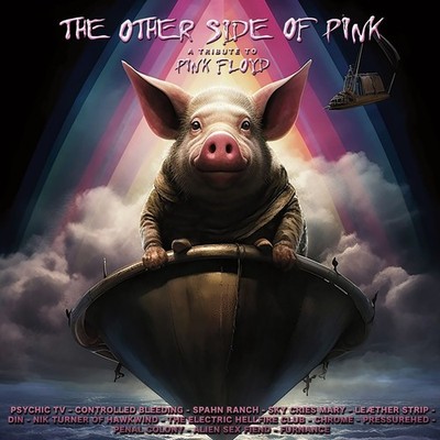 Various Artists The Other Side of Pink: A Tribute to Pink Fl (Vinyl) (US IMPORT)